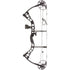 Diamond Prism Bow Package Black 18-30 in. 5-55 lbs. RH
