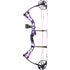 Diamond Prism Bow Package Purple 18-30 in. 5-55 lbs. RH