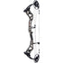 Bear Surpass Bow DNA/Black 60 lbs. Right-Handed - BEA2128