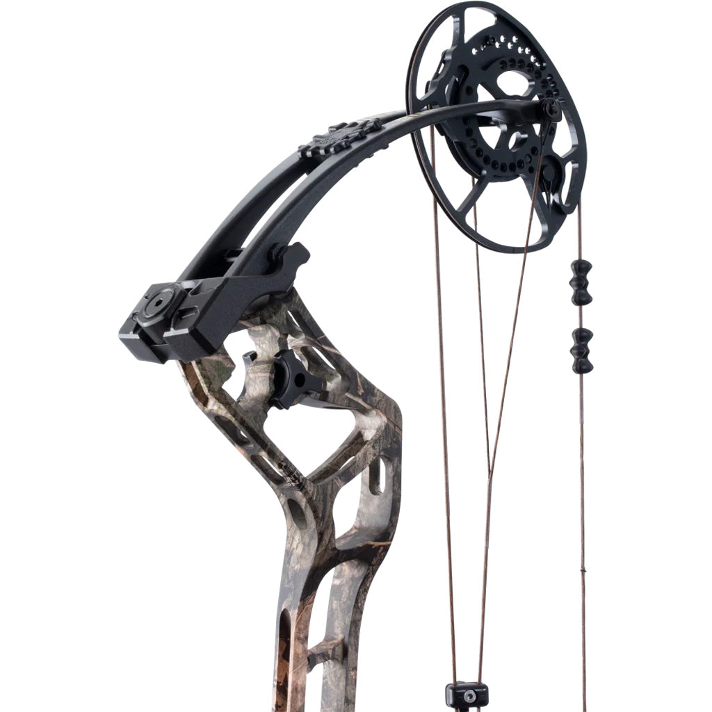 Bear Surpass Bow DNA/Black 60 lbs. Right-Handed - BEA2128