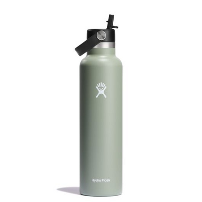 Standard Mouth 24oz Insulated Water Bottle w/ Flex Straw