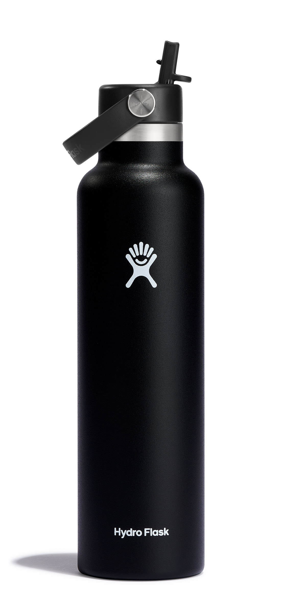 Standard Mouth 24oz Insulated Water Bottle w/ Flex Straw