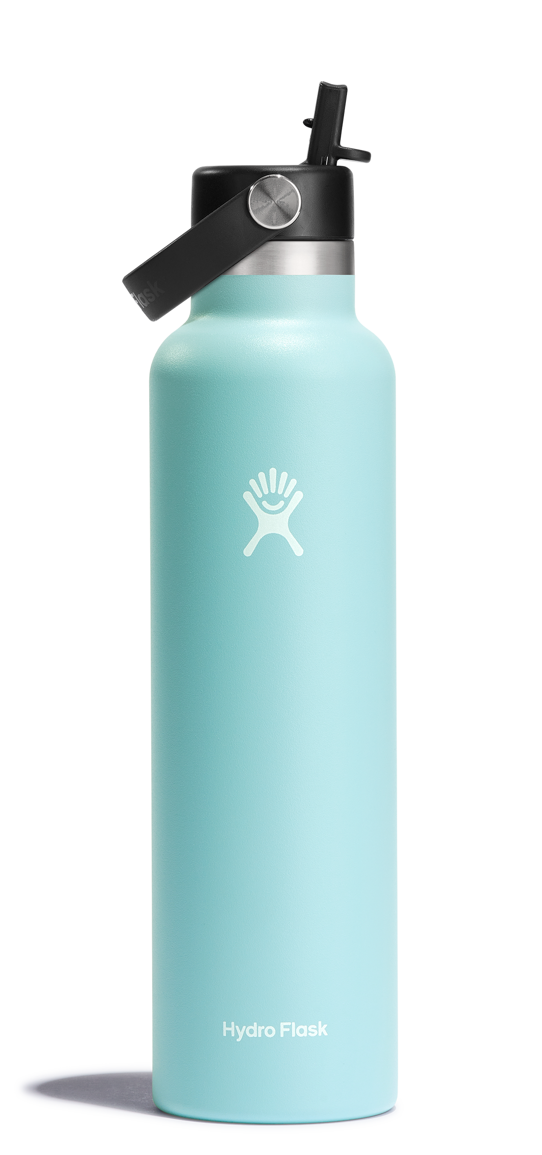 Standard Mouth 24oz Insulated Water Bottle w/ Flex Straw