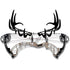 Raxx Bow Hanger Elk Skull Crossbow