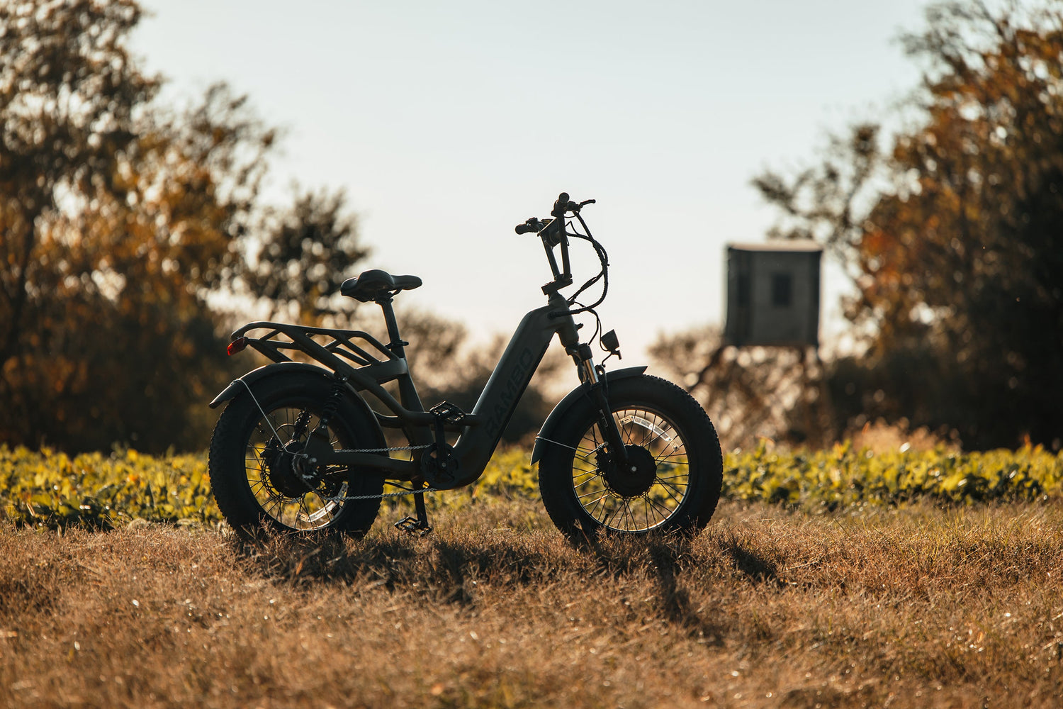 Revolt AWD Step Thru Bike