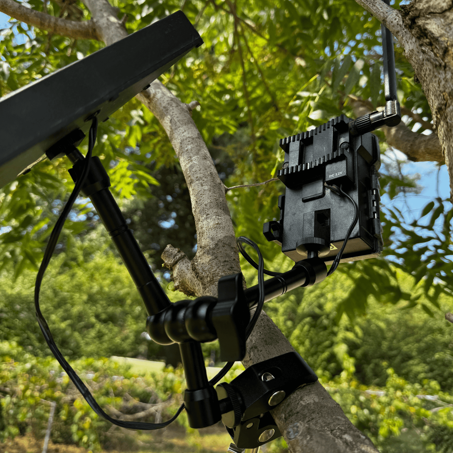 Tri-Claw Trail Camera &amp; Solar Panel Clamp Mount