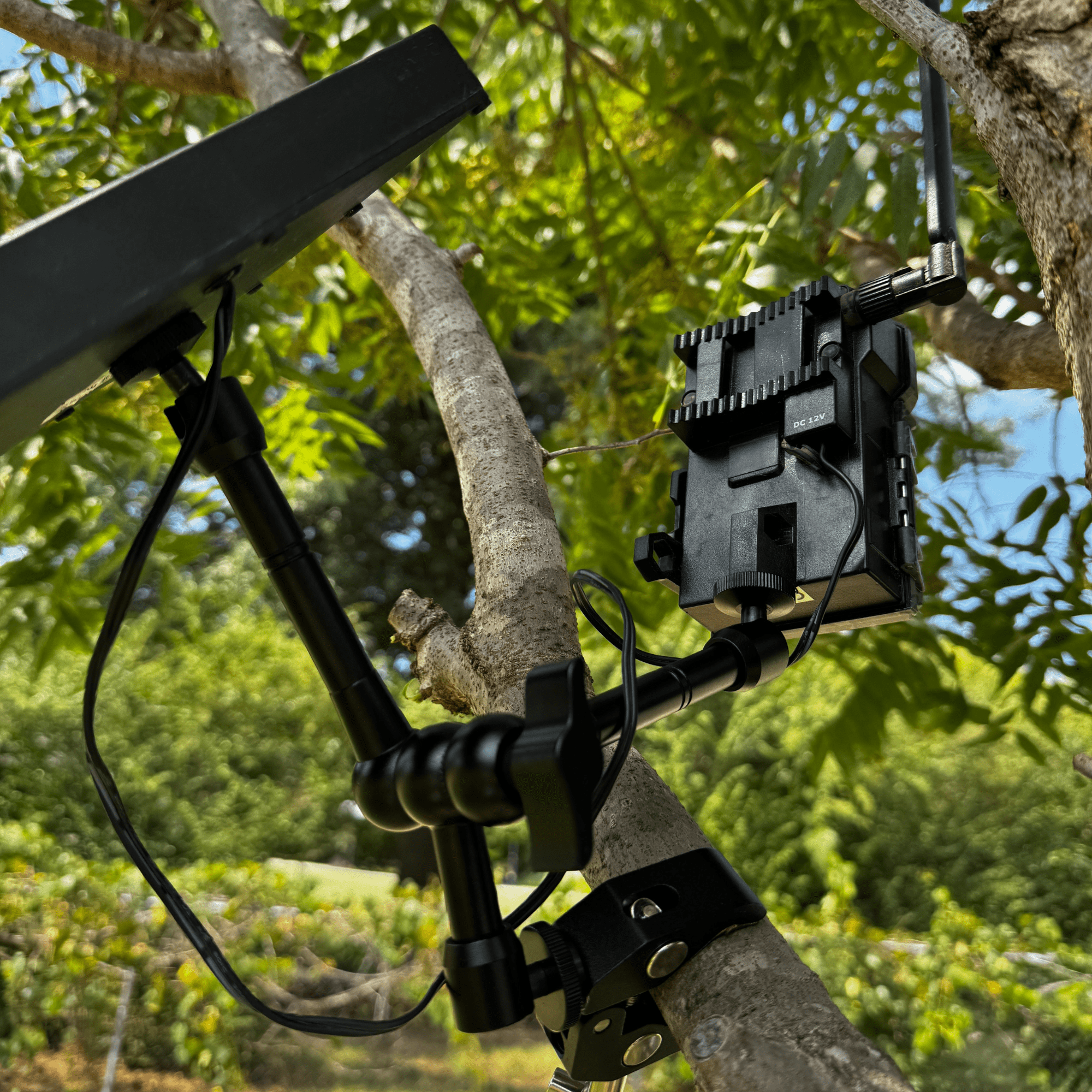 Tri-Claw Trail Camera &amp; Solar Panel Clamp Mount
