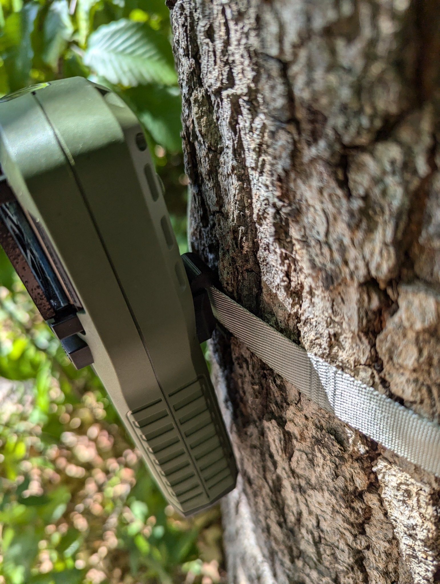 Thermacell Caddy - Tree or Pack Mount