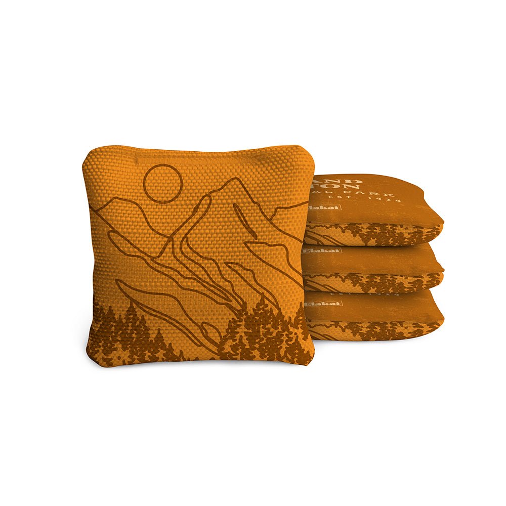4-in Travel Dual-Sided Cornhole Bags | National Parks Collection