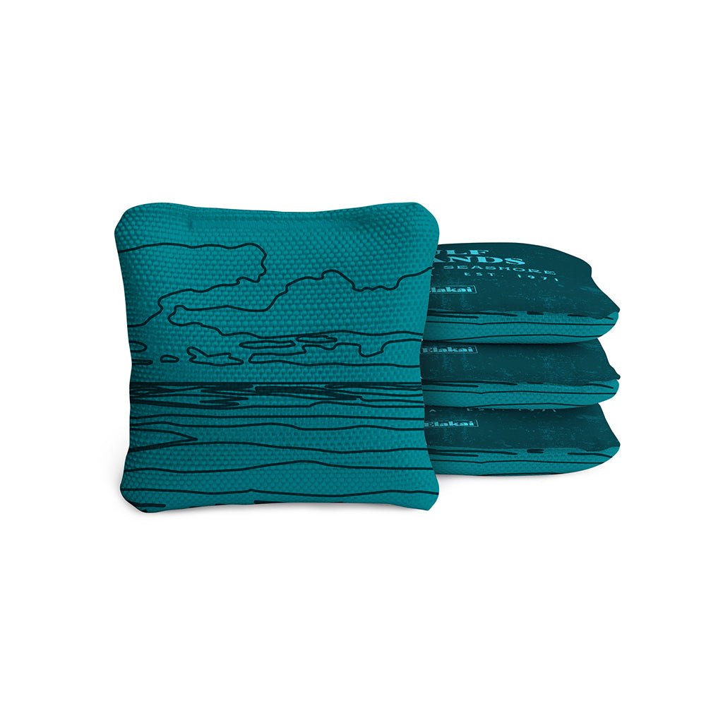 4-in Travel Dual-Sided Cornhole Bags | National Parks Collection