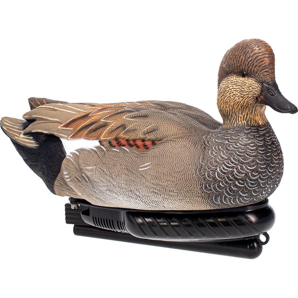 AvianX Power Swimmer Duck Decoy Gadwall Drake