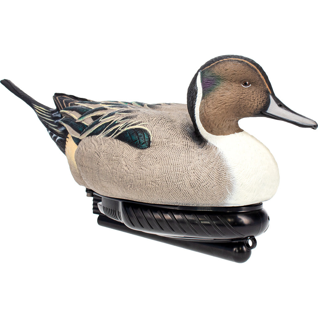 AvianX Power Swimmer Duck Decoy Pintail Drake