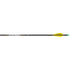 Easton X10 Parallel Pro Arrows 340 AAE Hybrid 26 vanes 6 pk.
