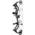 Bear Species XT RTH Bow Package - True Timber Strata/Black - 55-70 lbs - RH