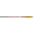 Black Eagle Outlaw Arrows 500 3 in. Feathers 6 pk.