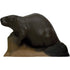 Delta McKenzie Backyard Beaver Target - Perfect for Archery Practice