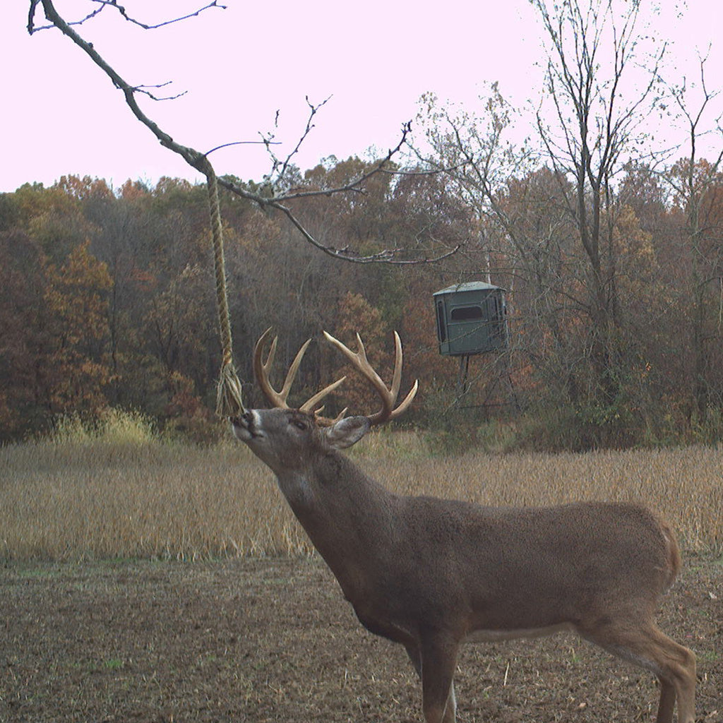 Wildlife Research Golden Rope Scent 4oz - Premium Attractant for Hunters