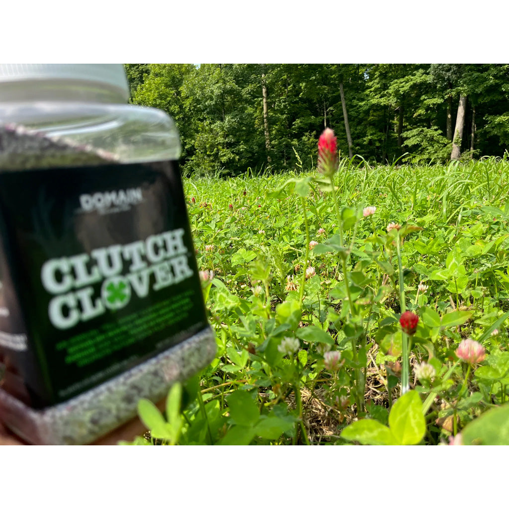 Domain Clutch Clover Seed for 1/4 Acre | Fast-Growing Forage with Soil Benefits