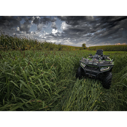 Domain Landing Strip Seed for 1/4 Acre - Supports Waterfowl, Upland Birds, and Deer