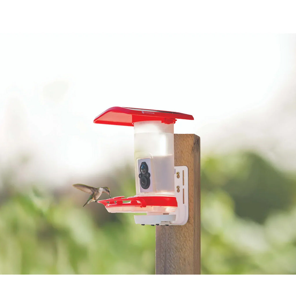 Tactacam FeatherSnap Hummingbird Feeder Gen 1 with Built-in Camera and Wi-Fi