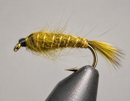 Gold Rib Hare&
