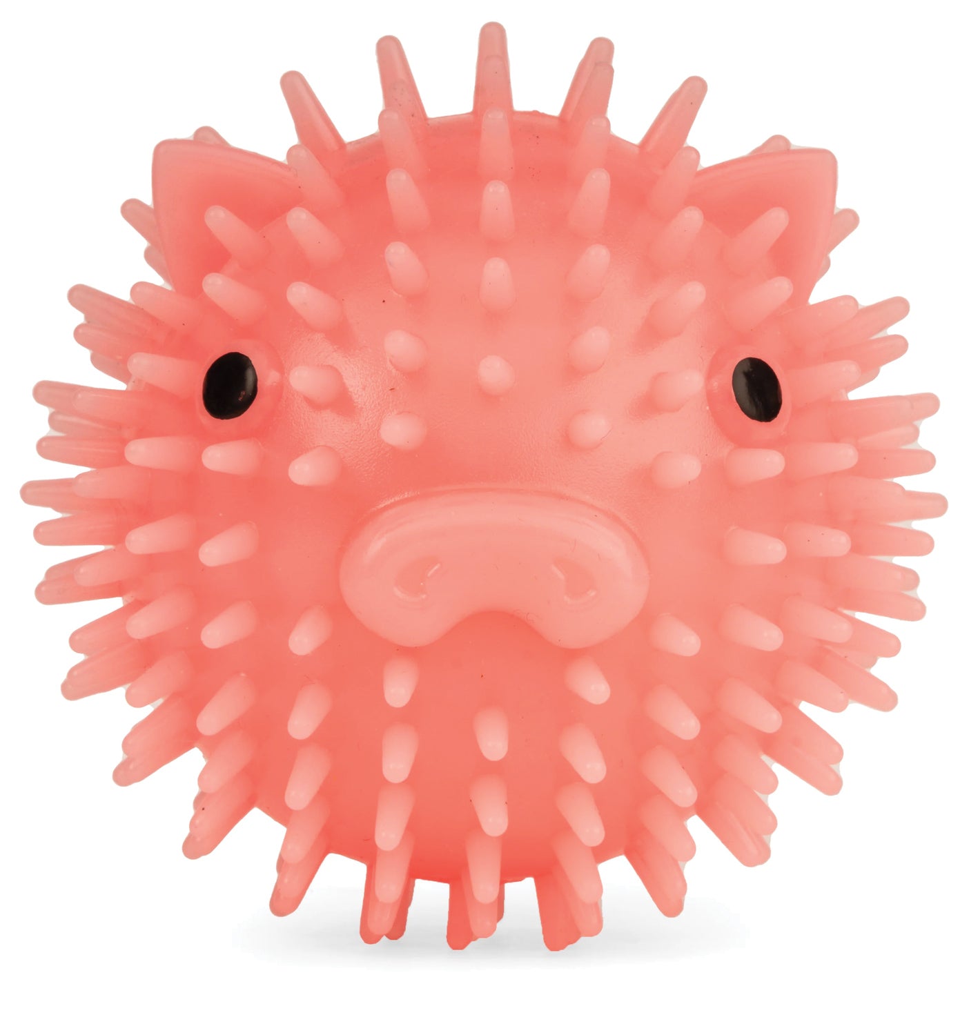 Piggy Dog Ball