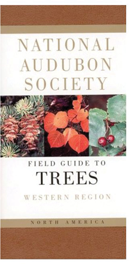 Audbn Fg: Trees Western