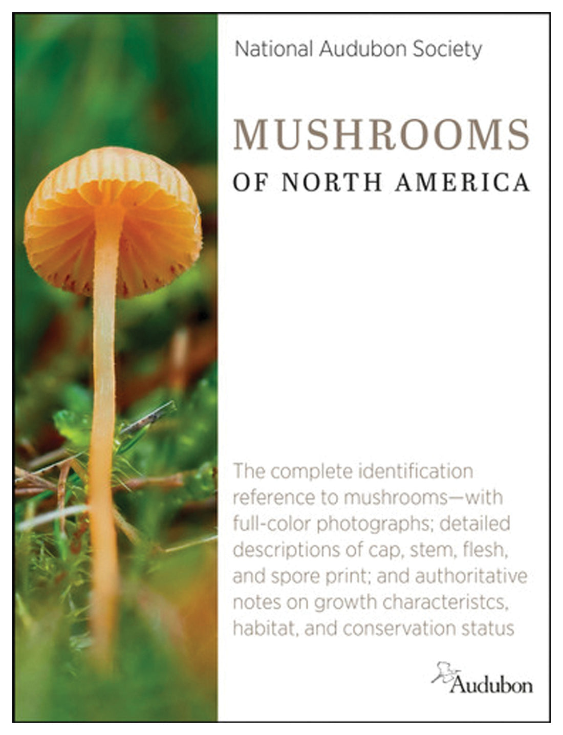 Audbn Mushrooms Nm