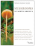 Audbn Mushrooms Nm