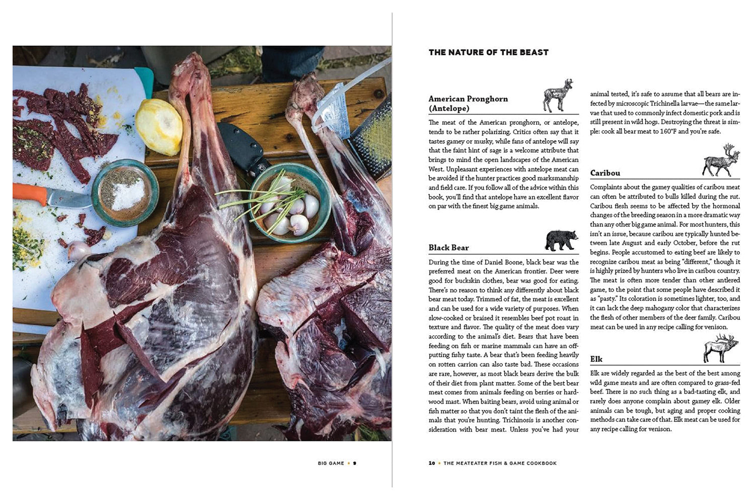 The Meateater Fish/Game Cookbk