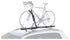 Hybrid Upright Bike Carrier