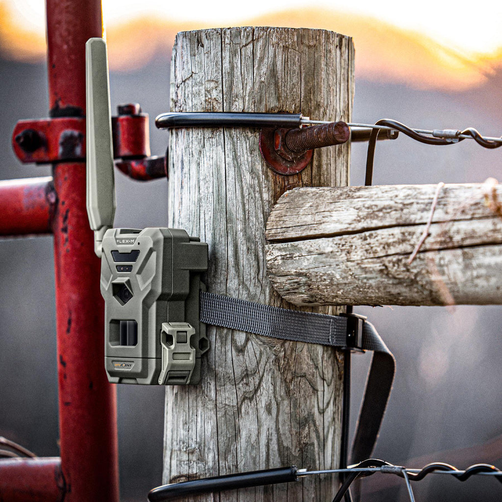 Spypoint Flex M2 Twin Pack