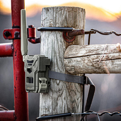 Spypoint Flex M2 Twin Pack
