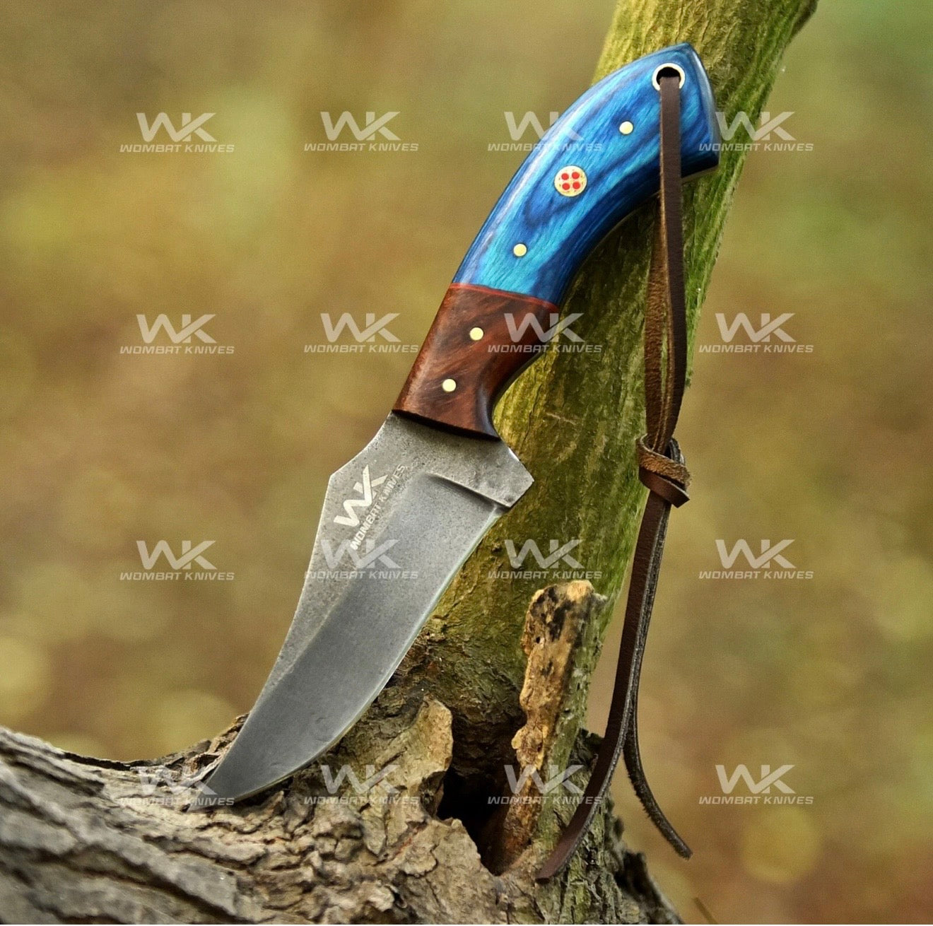 Blue &amp; Rosewood Handle Cowboy Belt Knife for Ranch Work and Collecting