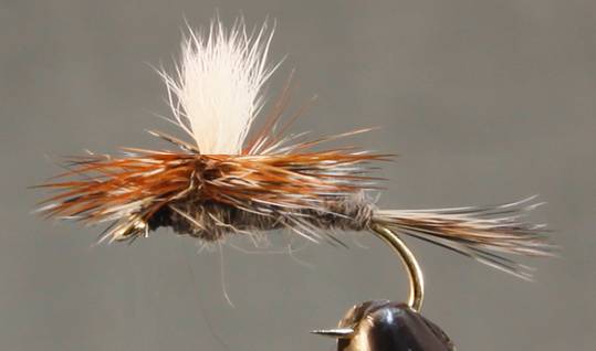 Adams Dry Fly - Standard &amp; Parachute