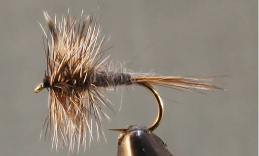 Adams Dry Fly - Standard &amp; Parachute