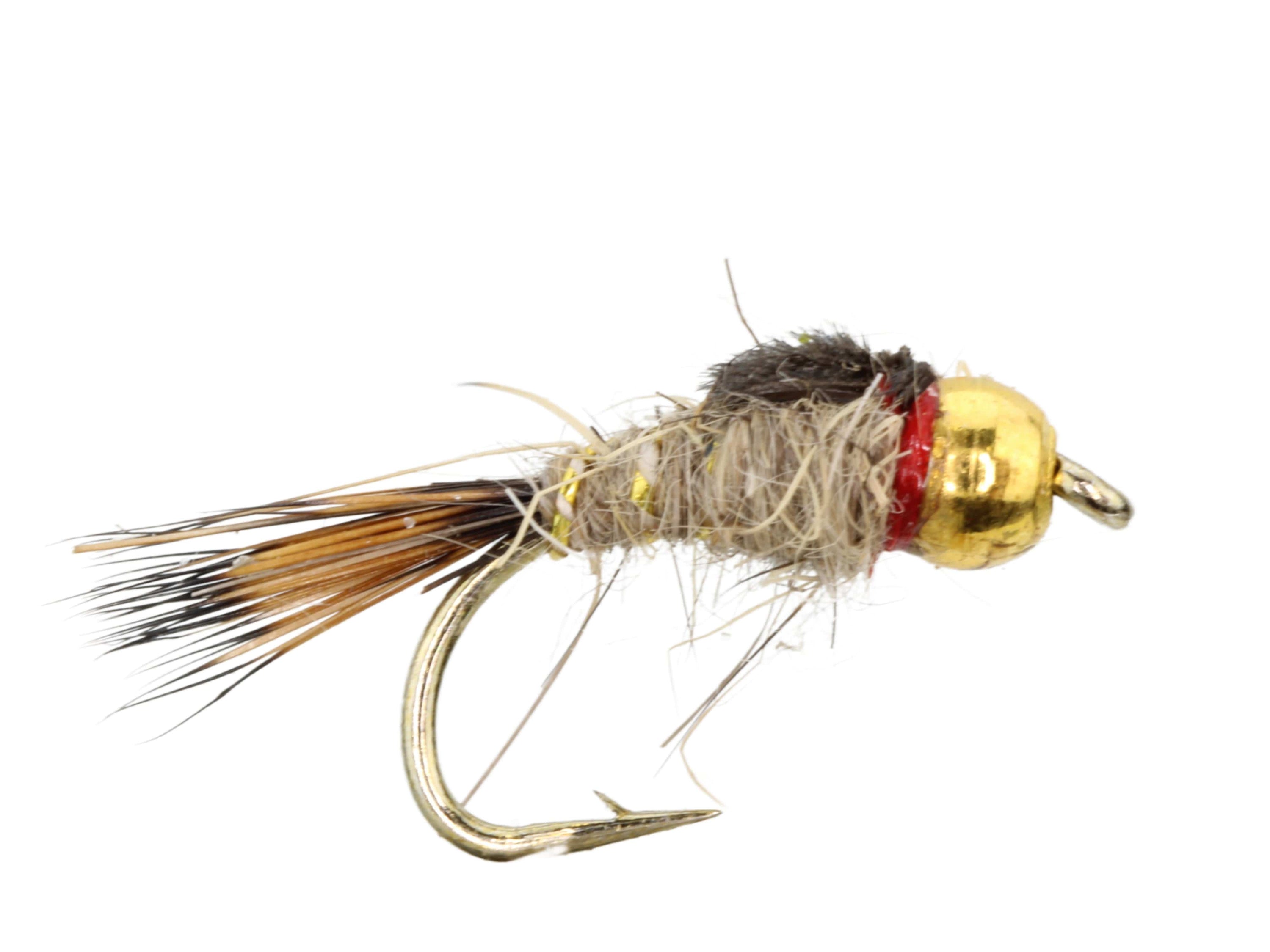 Gold Ribbed Hare&