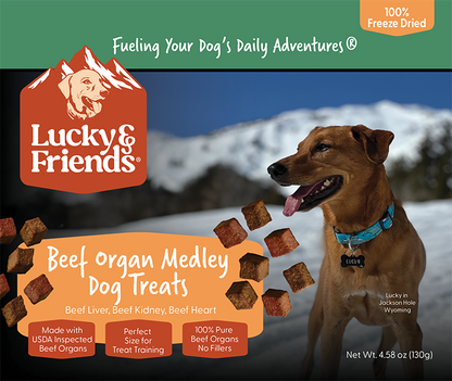 Lucky &amp; Friends Beef Liver Dog Treat