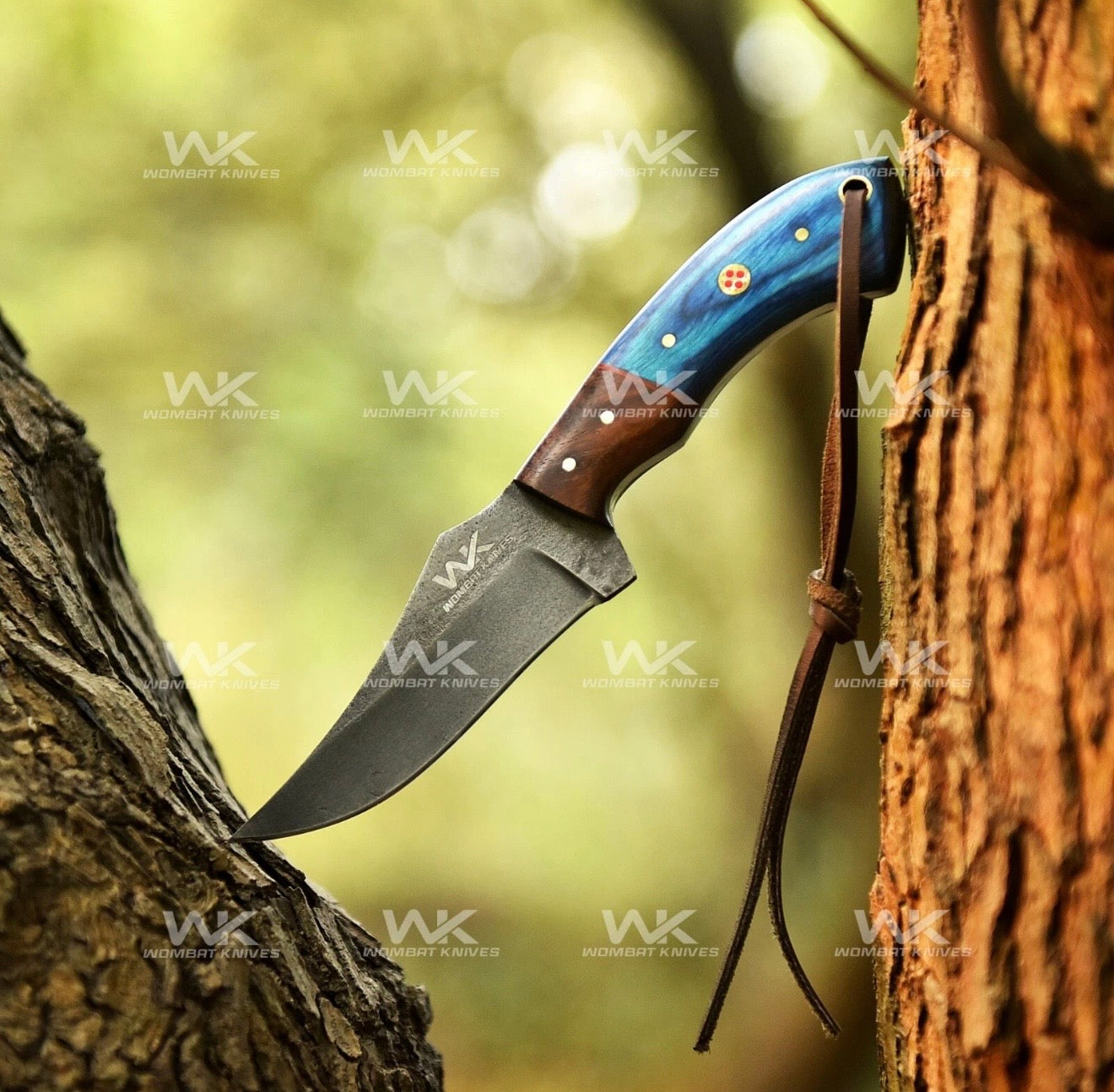 Blue &amp; Rosewood Handle Cowboy Belt Knife for Ranch Work and Collecting