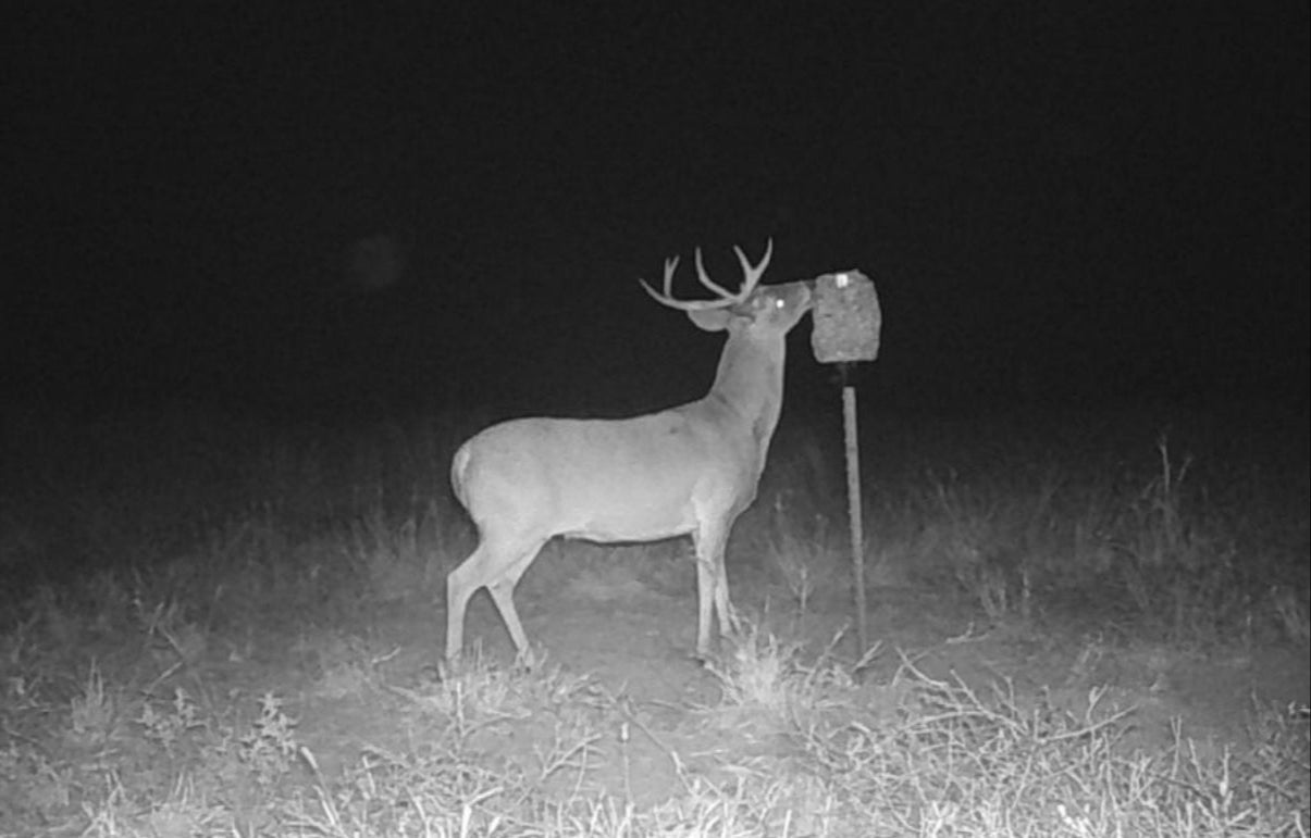 Patented Feed Block Mount T-Post