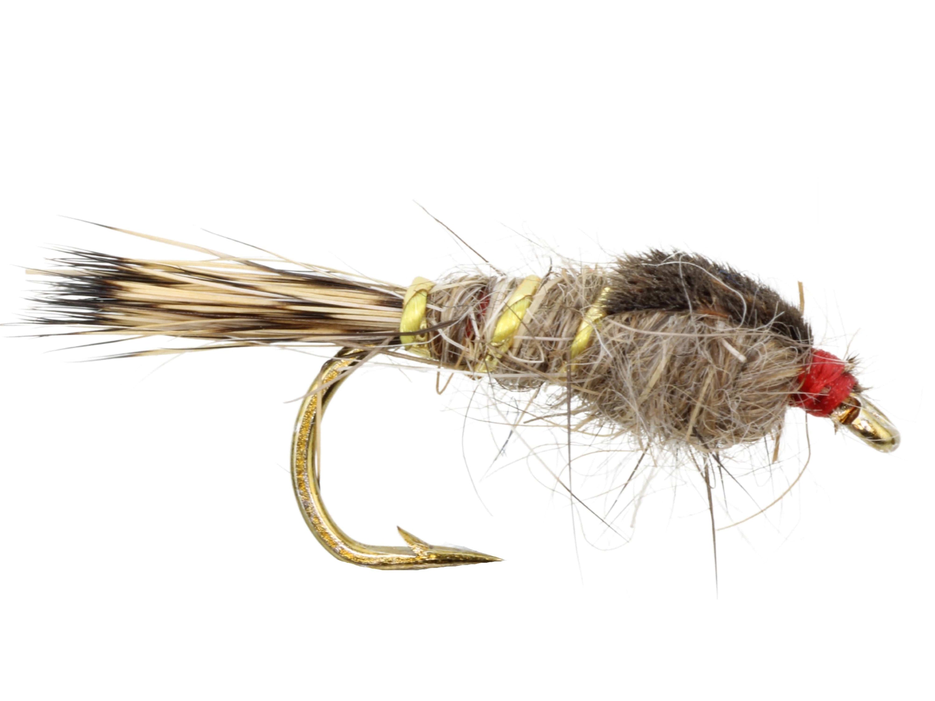 Gold Ribbed Hare&