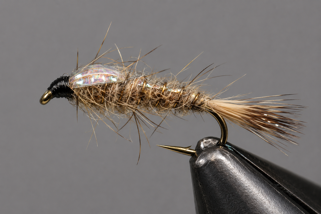 Gold Rib Hare&