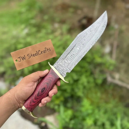 Handmade Damascus Clip Point Bowie Utility Knife Fixed Blade Pakka Wood Handle with Guard