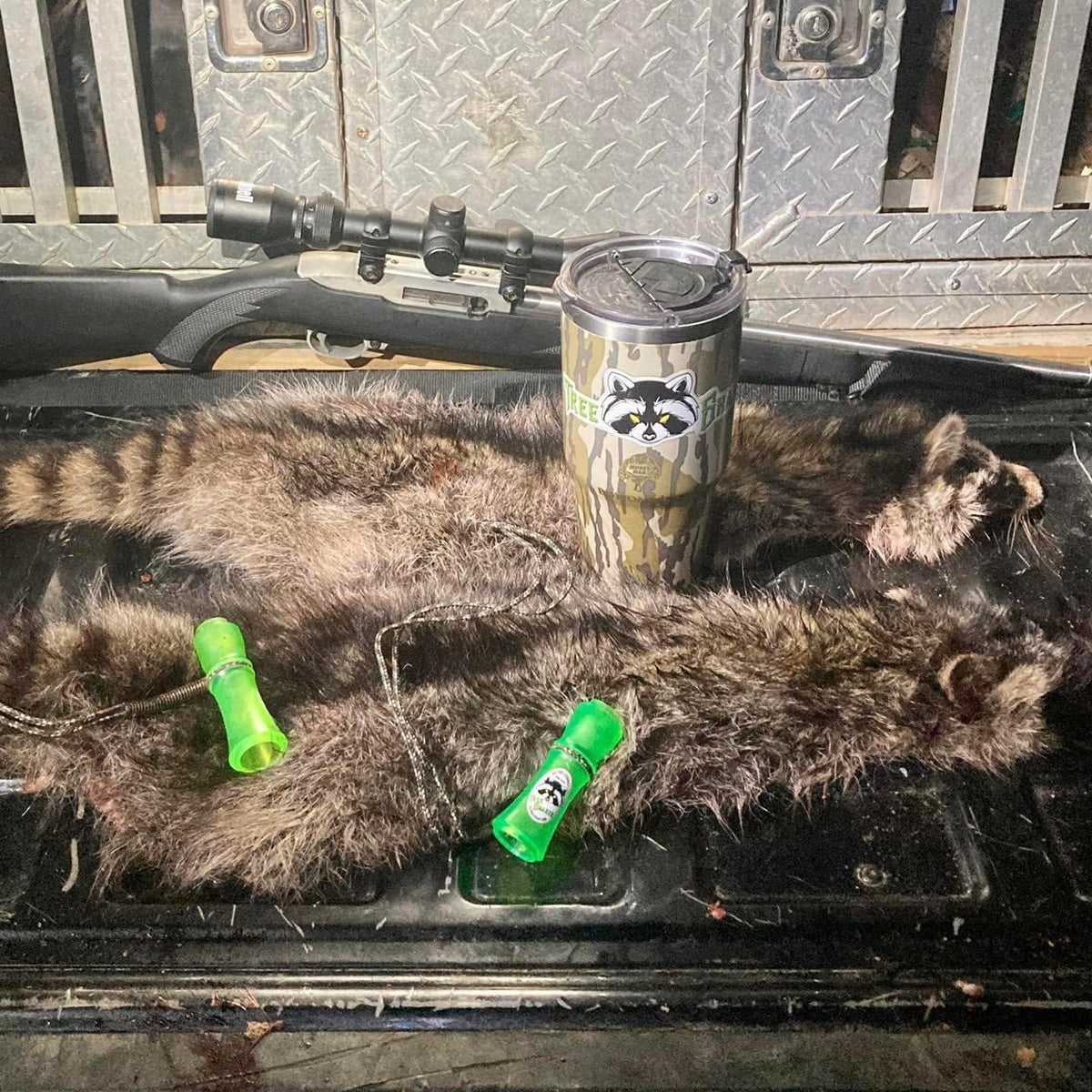 Bad Kitty Coon Squaller