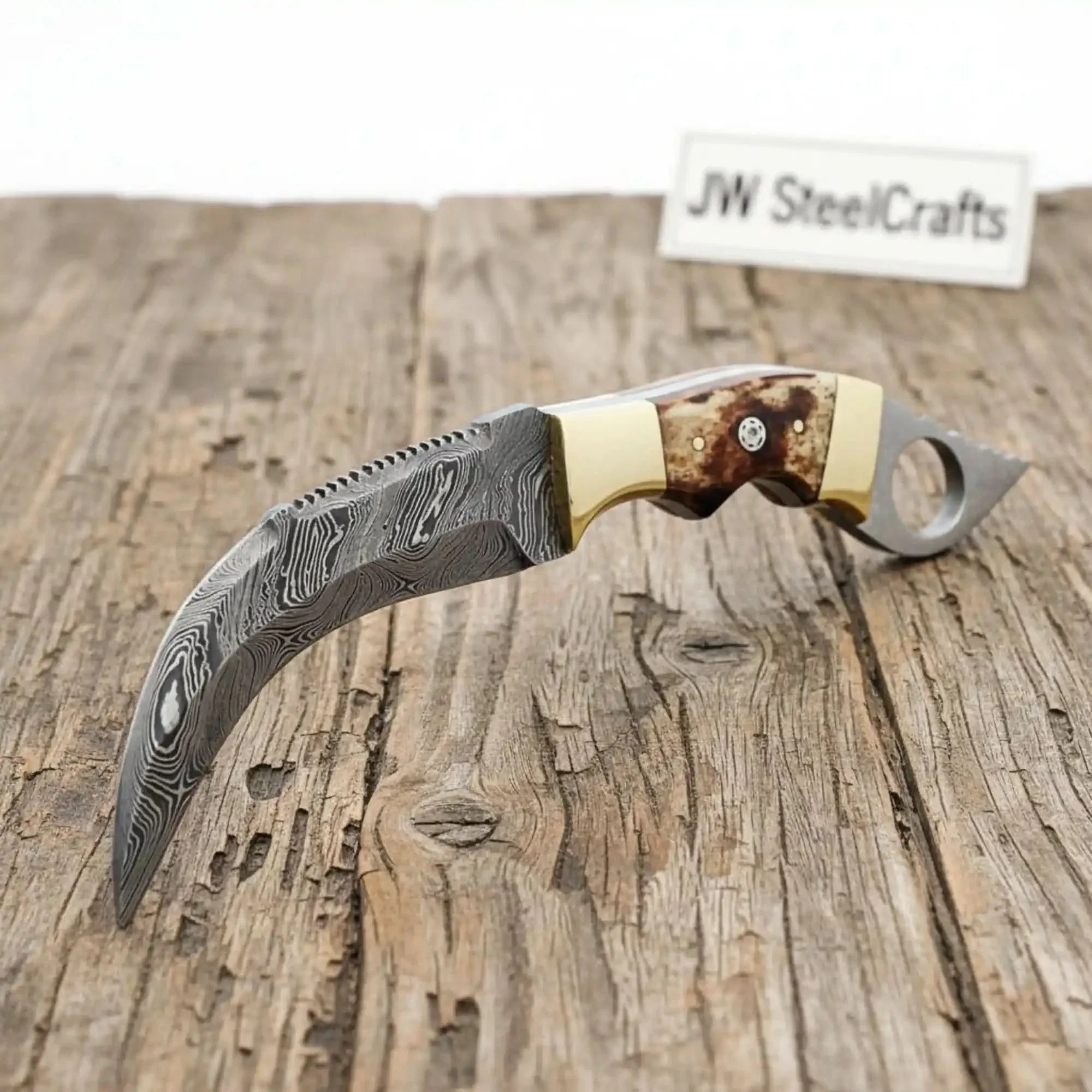 Damascus Steel Knife with Burned Bone Handle &amp; Brass Bolster