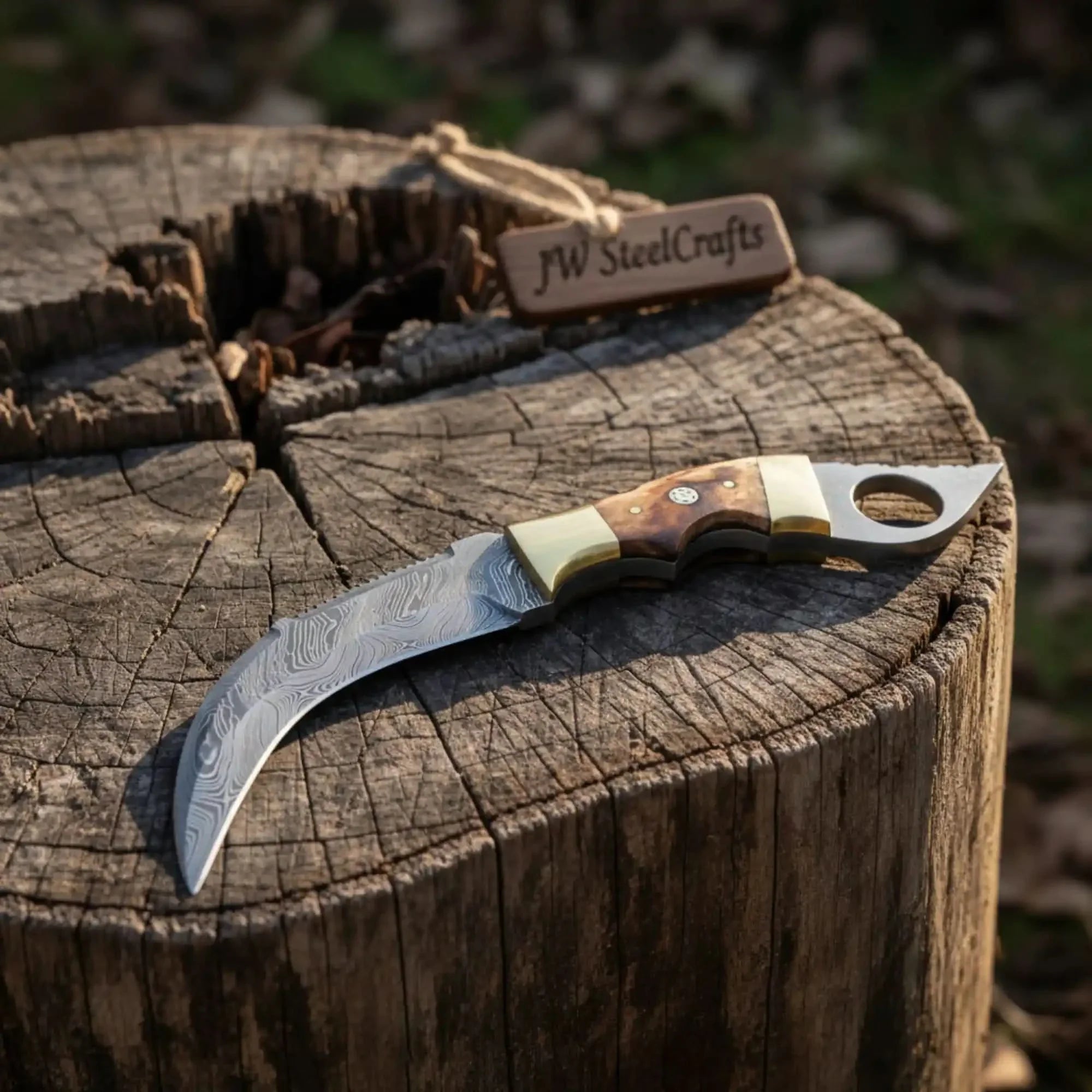 Damascus Steel Knife with Burned Bone Handle &amp; Brass Bolster