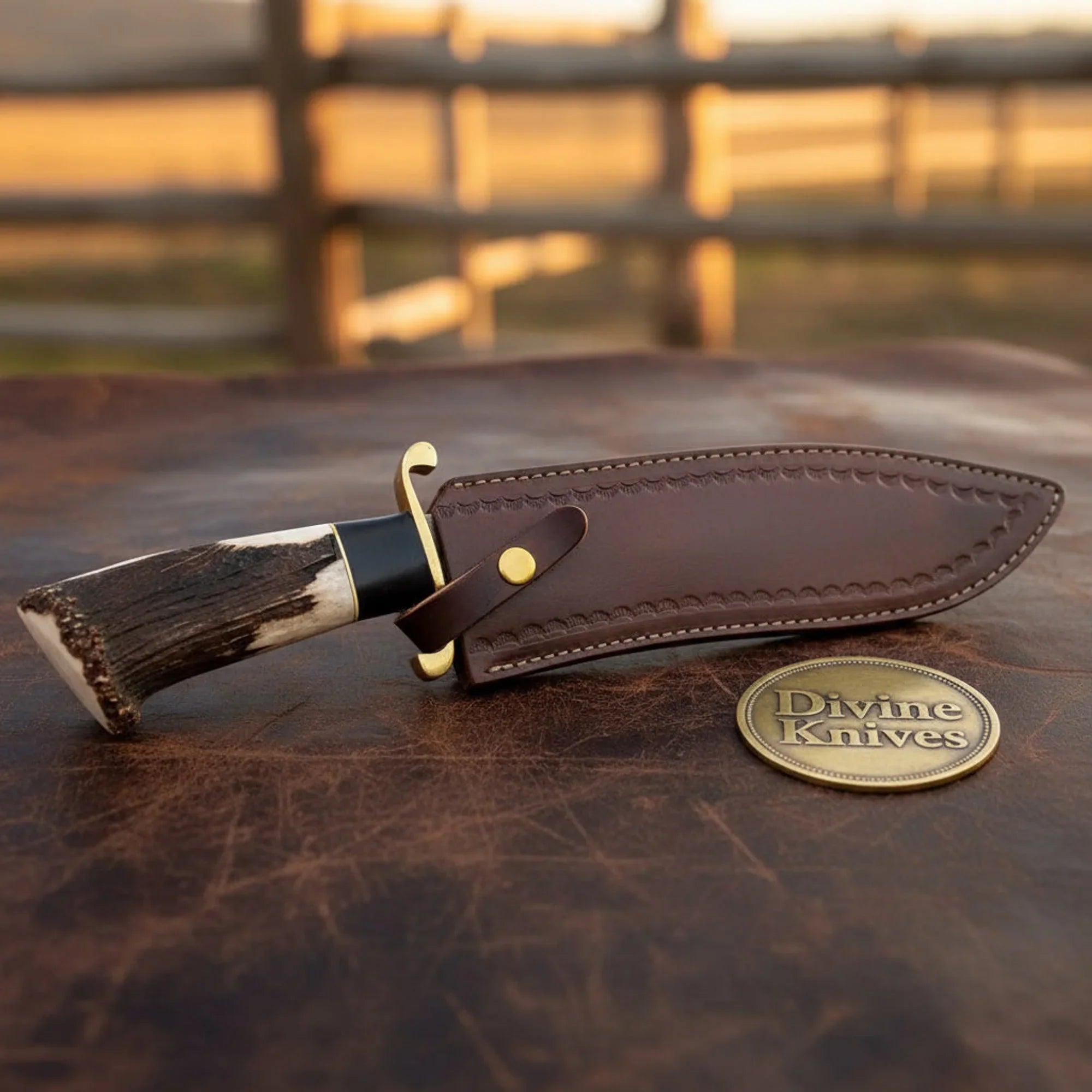 Damascus D-Guard Bowie Knife with Leather Sheath – Handcrafted Collectible Display Piece