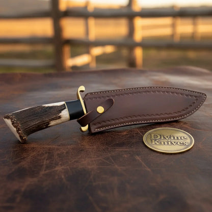 Damascus D-Guard Bowie Knife with Leather Sheath – Handcrafted Collectible Display Piece