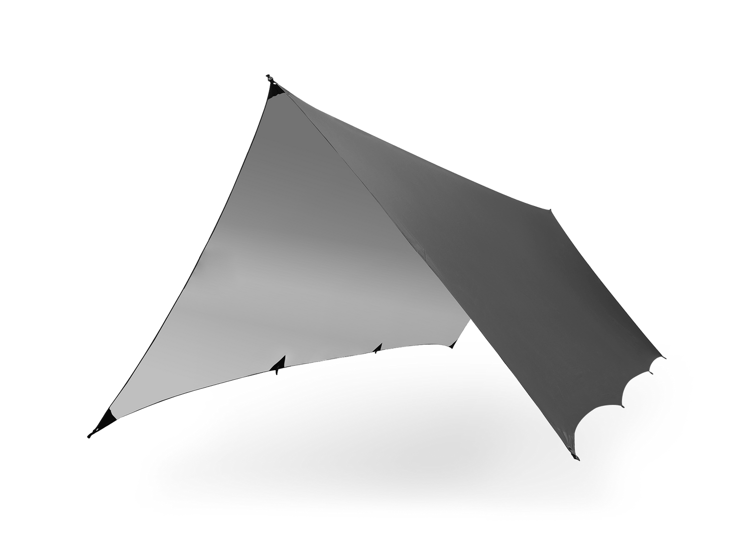 Kuhli Pro