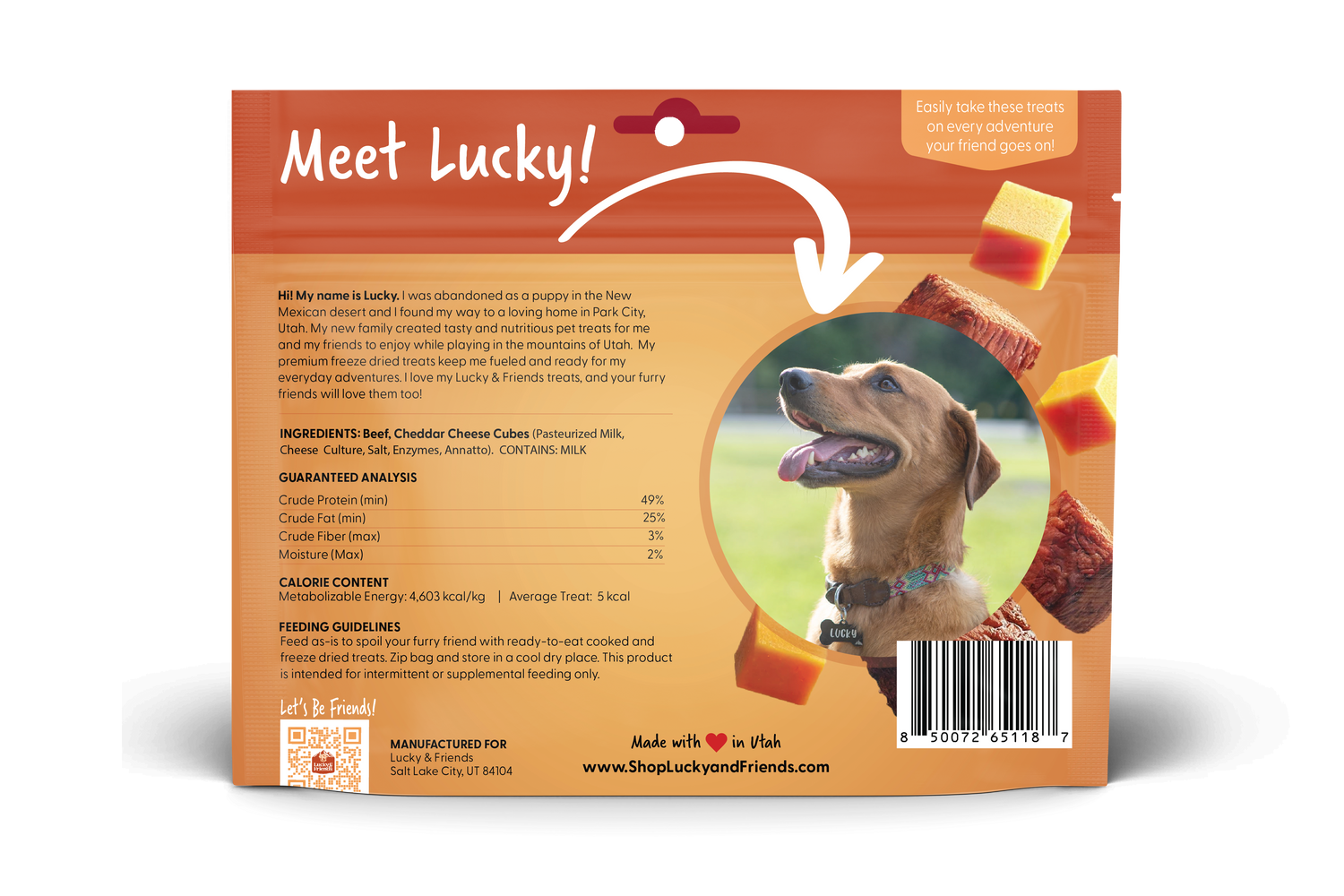 Steak &amp; Cheddar Cheese Bites Dog Treats